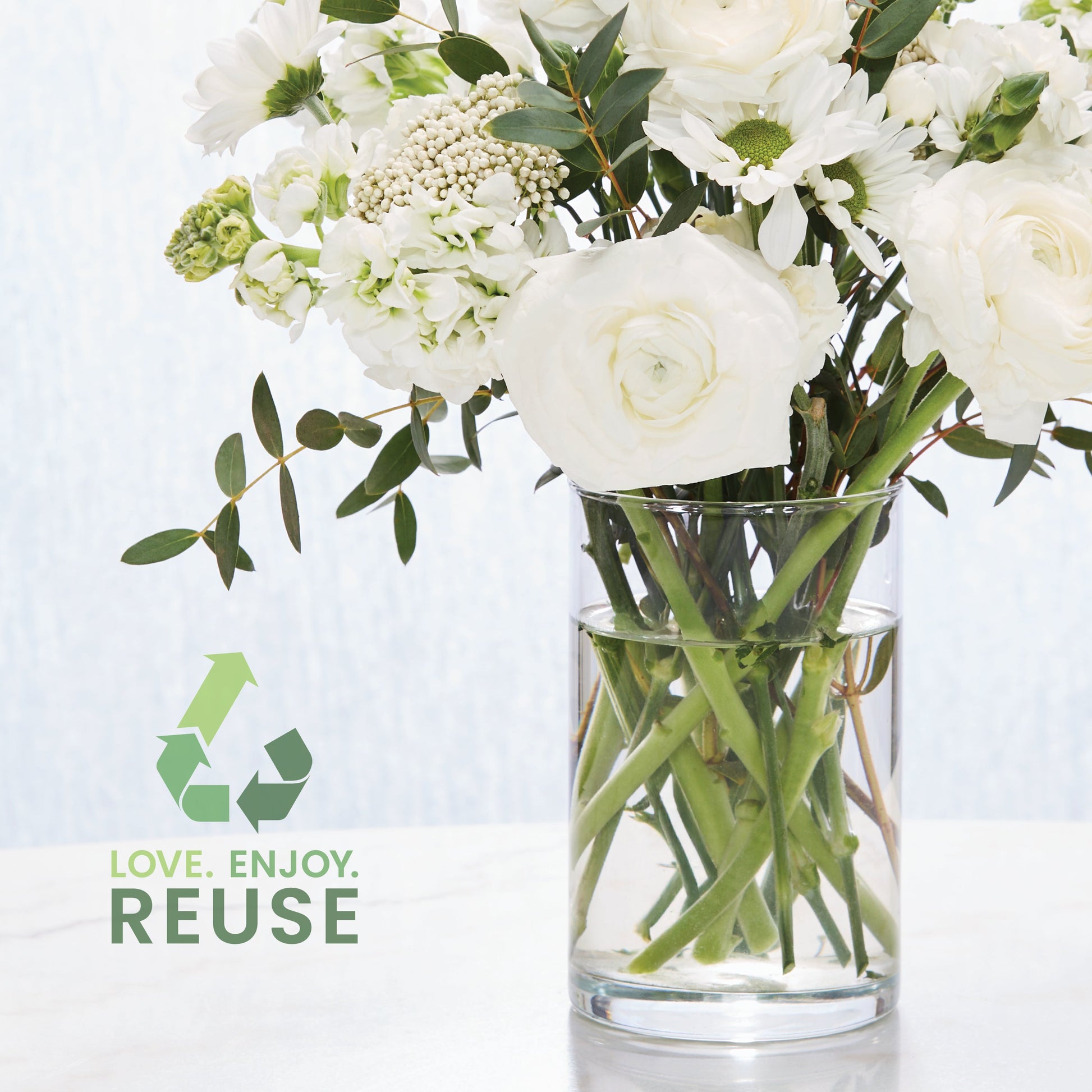 Enchanting Cherry Blossoms