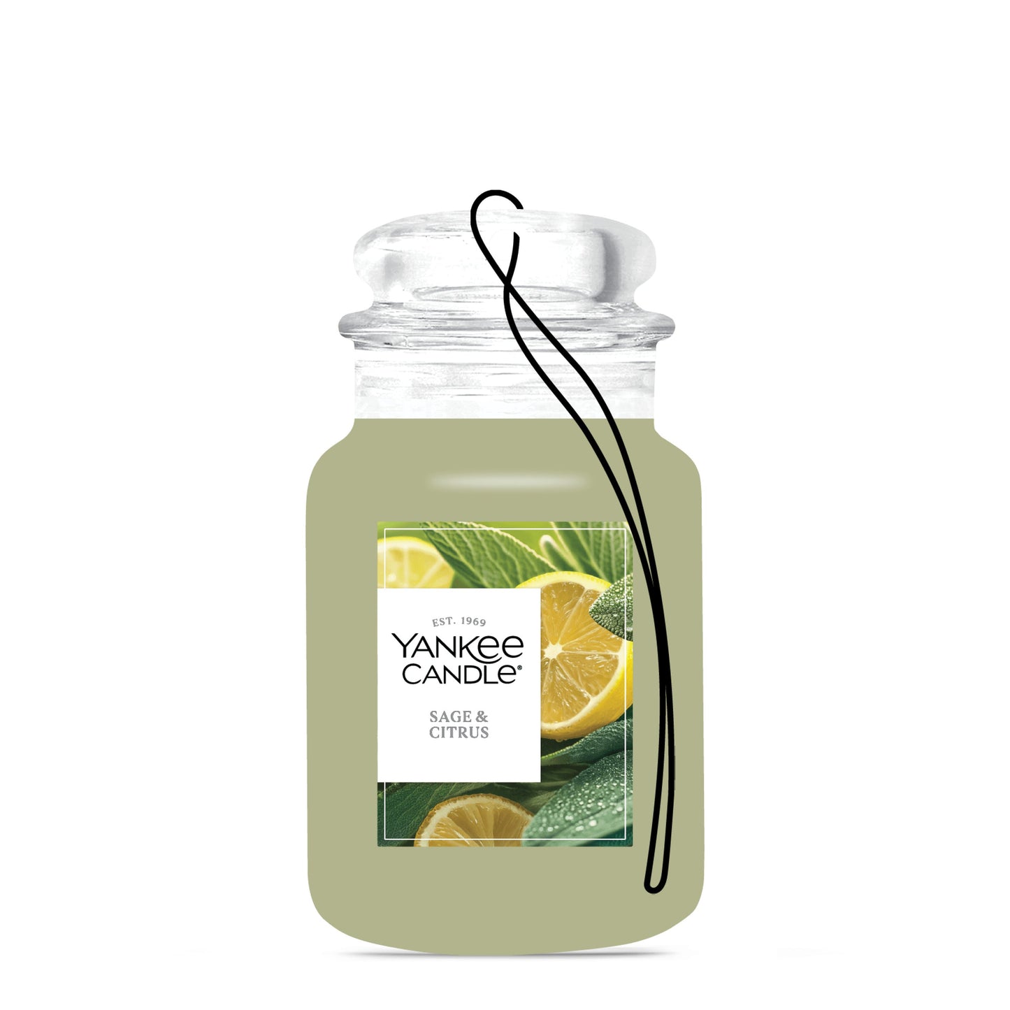 Sage & Citrus Studio 7-0349