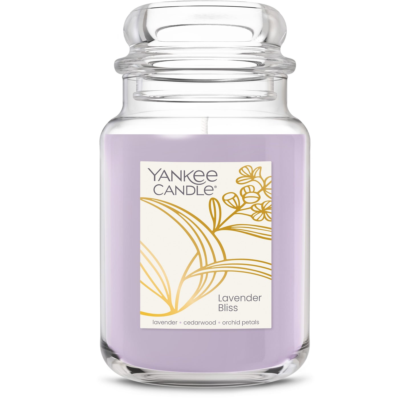 Lavender Bliss Studio 7-0819
